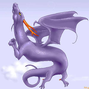 Purple sky dragon