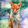 Lavender Fox