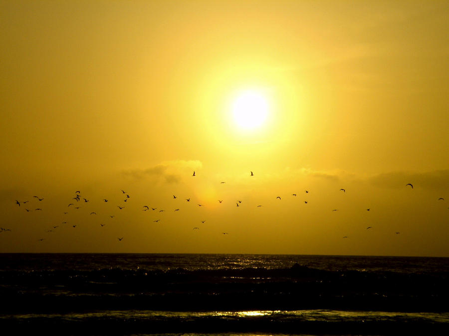 Sunset Less Ocean Sunset LessColor by OneofakindKnight on DeviantArt