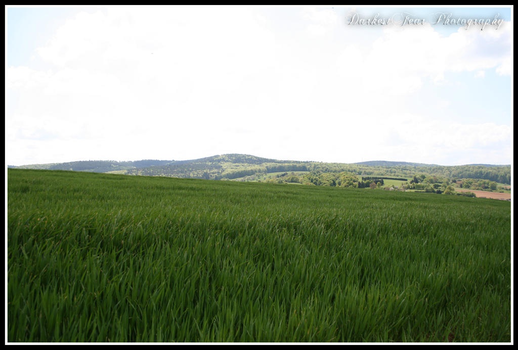 Hike Odenwaelder Weininsel IV