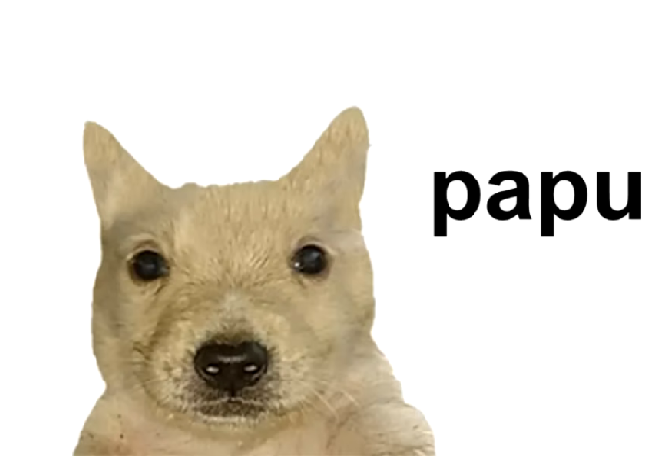 Papu Rang Perro Papu by CarmineGear on DeviantArt