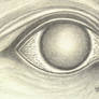 eye 001