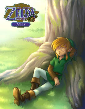 Legend Of Zelda : A Hero's Nap