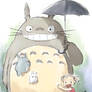 My Neighbour Totoro 'Rough'