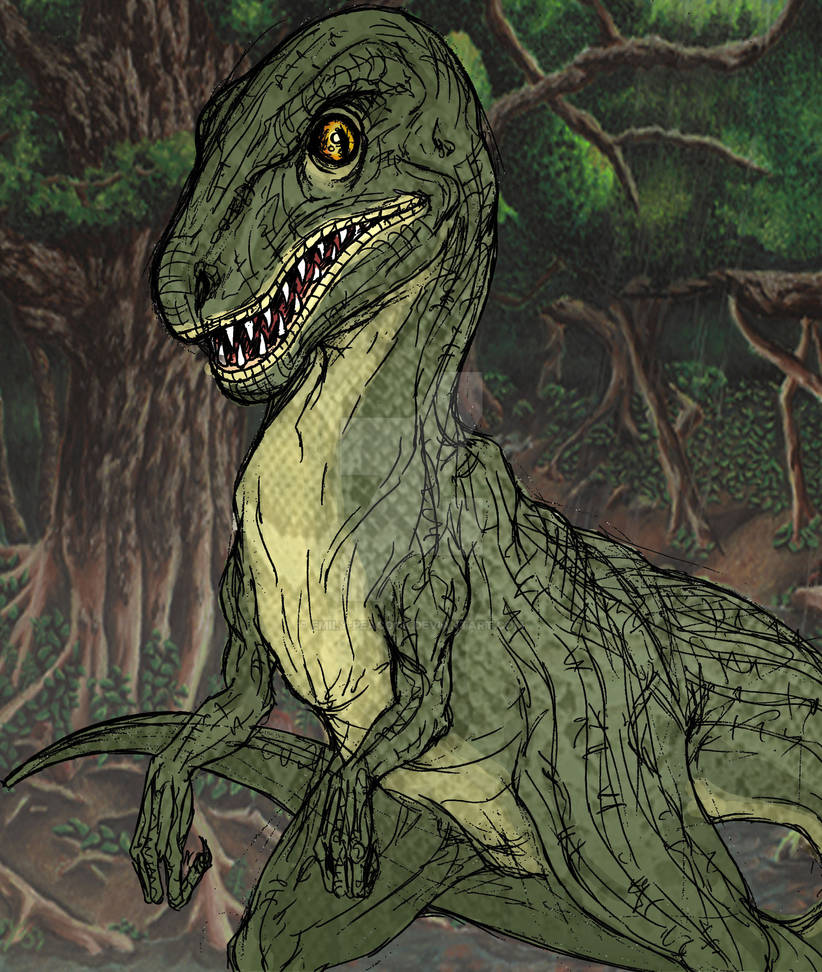 Coloured Raptor by Emily-Peacock on DeviantArt