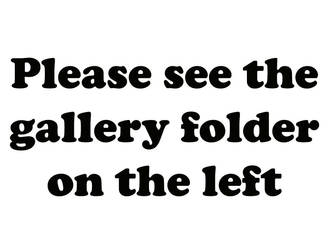 PLEASE SEE THE GALLERY FOLDER ON THE LEFT