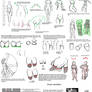 Female body tutorial: Tips and mistakes