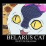 Belarus cat