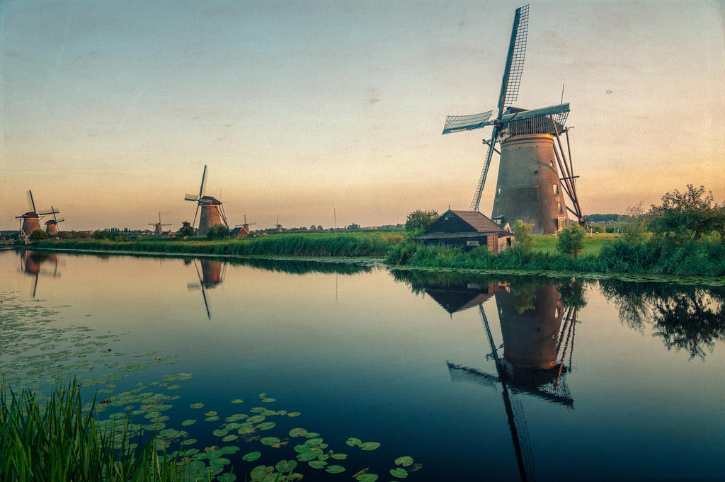 Windmill serenity