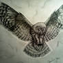 owl