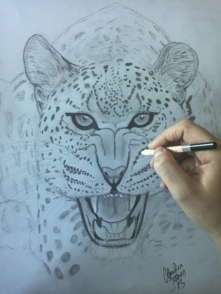 leopard in progress