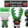 Zetsu Paper Doll