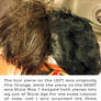 Wig Dye Tutorial