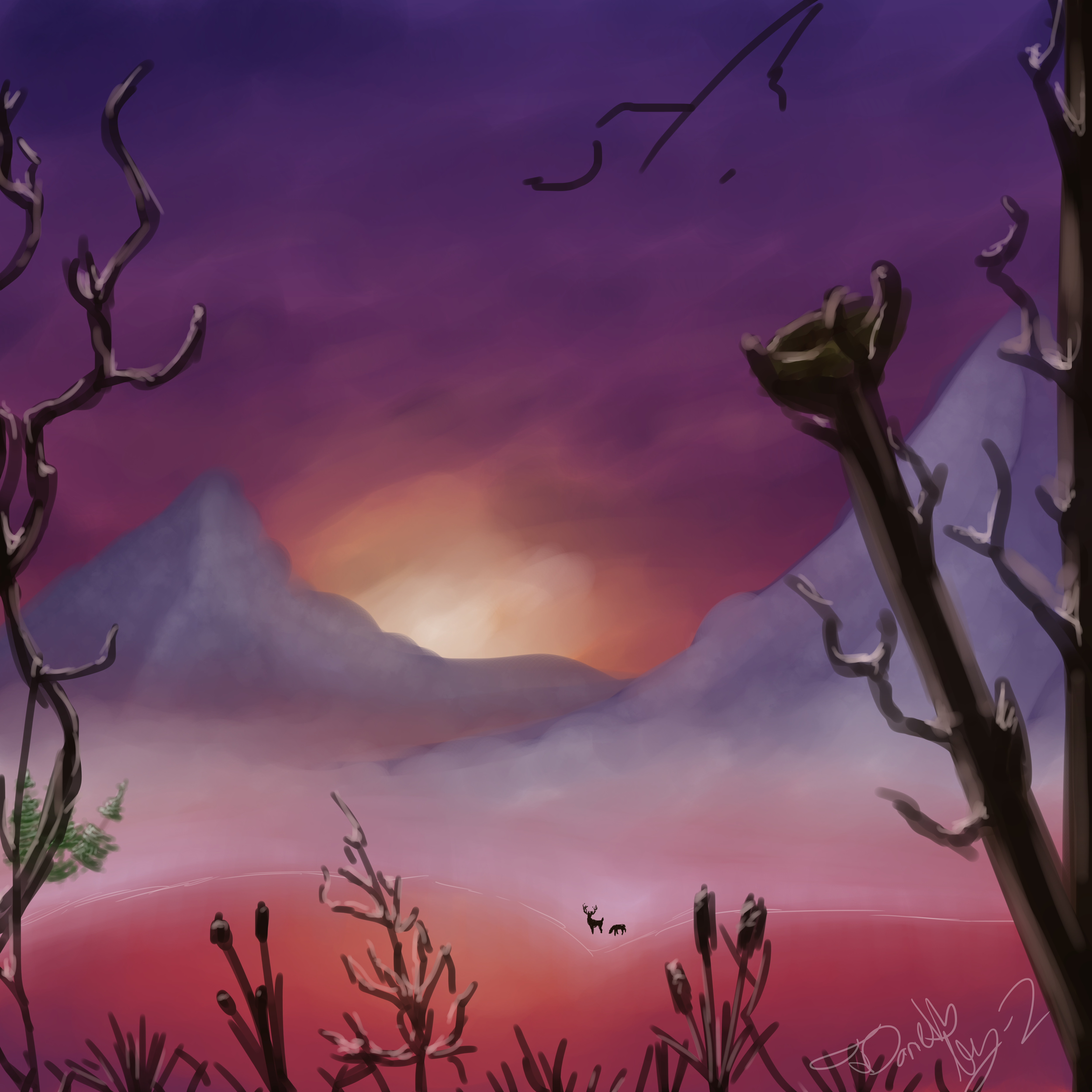 Winter rise