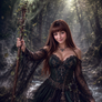 Mists' Answers