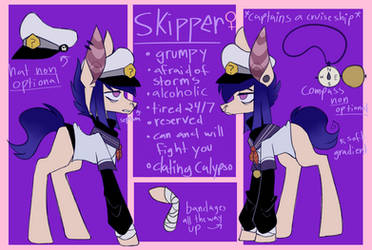 Skipper 2.0 ref