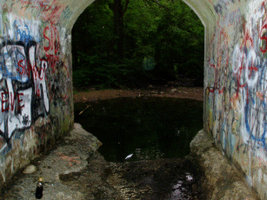 Under the Bridge