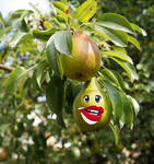 Beware of the Biting Pear