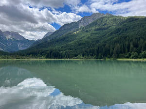 Reflections