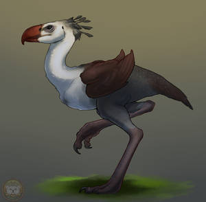 Terror Bird