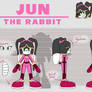 Jun the Rabbit Ref Sheet