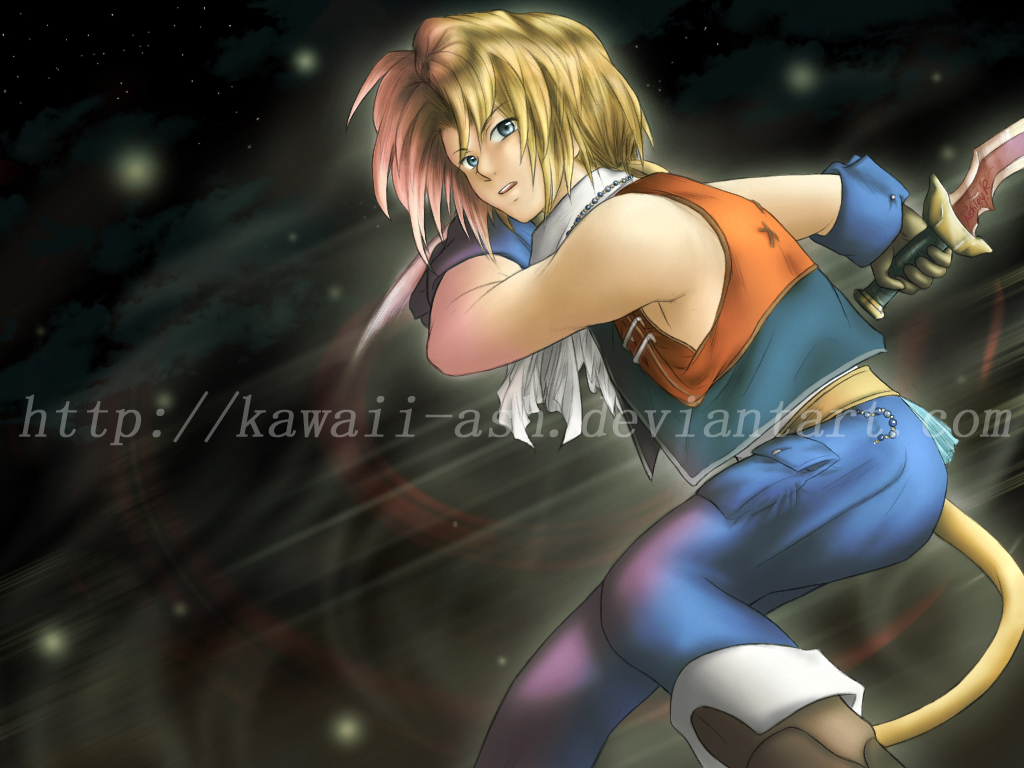 Final Fantasy IX - Dissidia