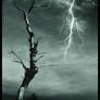 I stand alone...