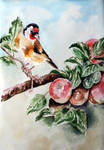 Goldfinch by danuta50