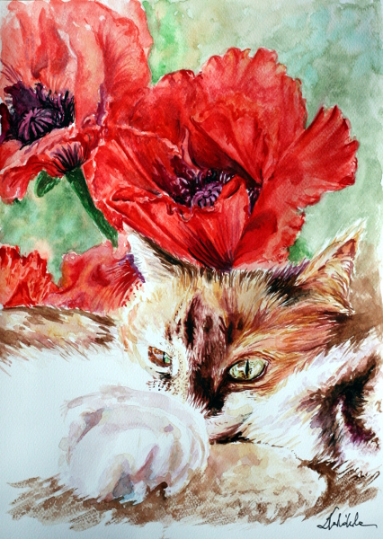 The Cat and poppies