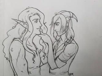 An Elf and her Tiefling