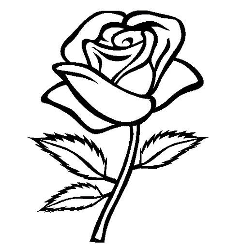 Rose-Flower-Drawing By Royalbullet1000 On Deviantart