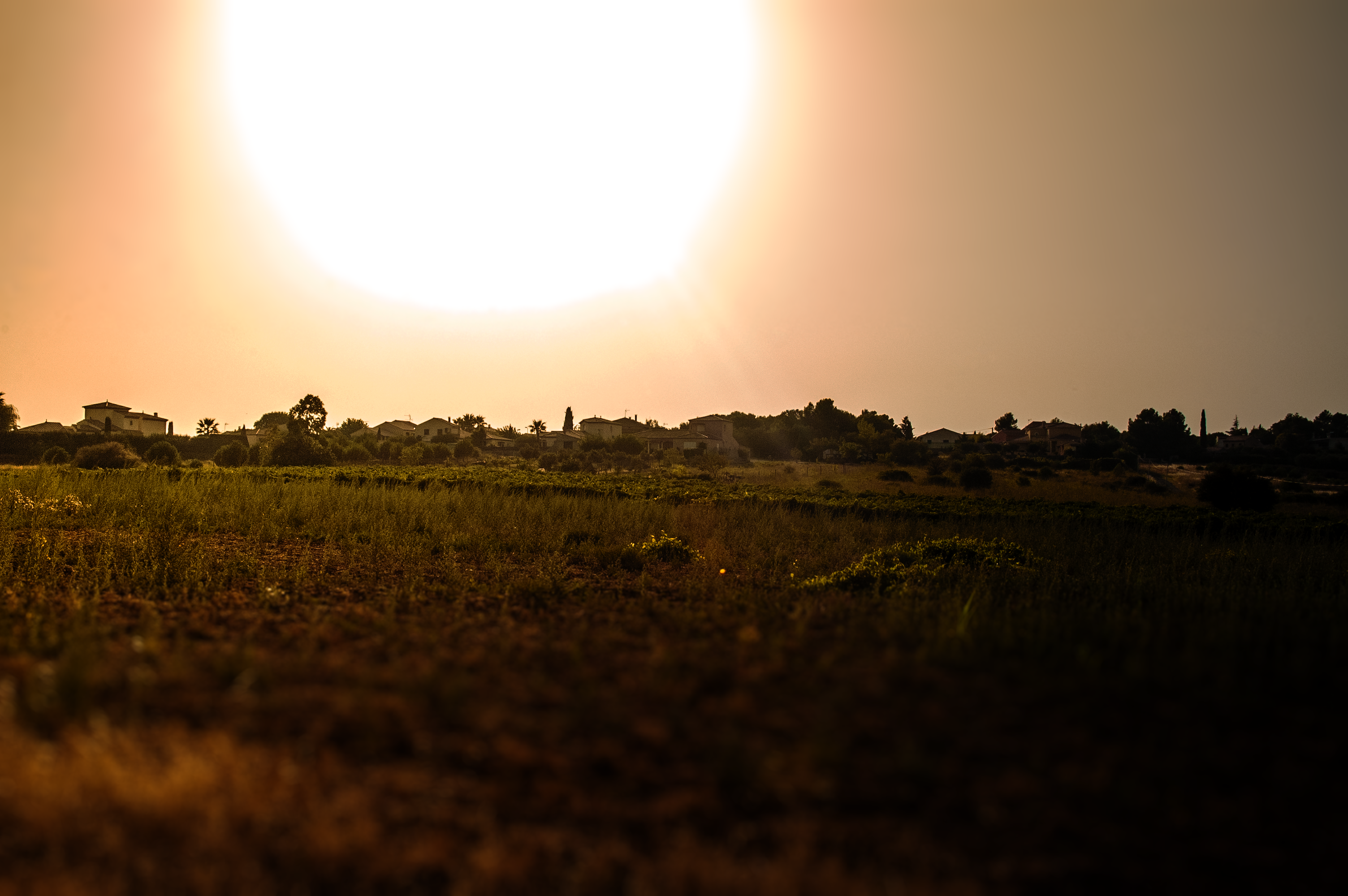 Coucher de soleil sur la garrigue