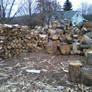 Woodpile 2