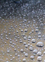 Water drops