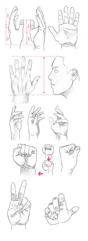 Tutorial hands