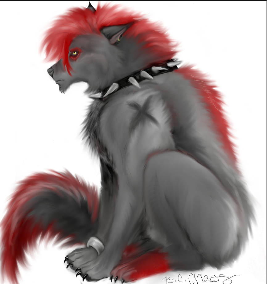 Rizz feral by Black-Cat-Chaos on DeviantArt