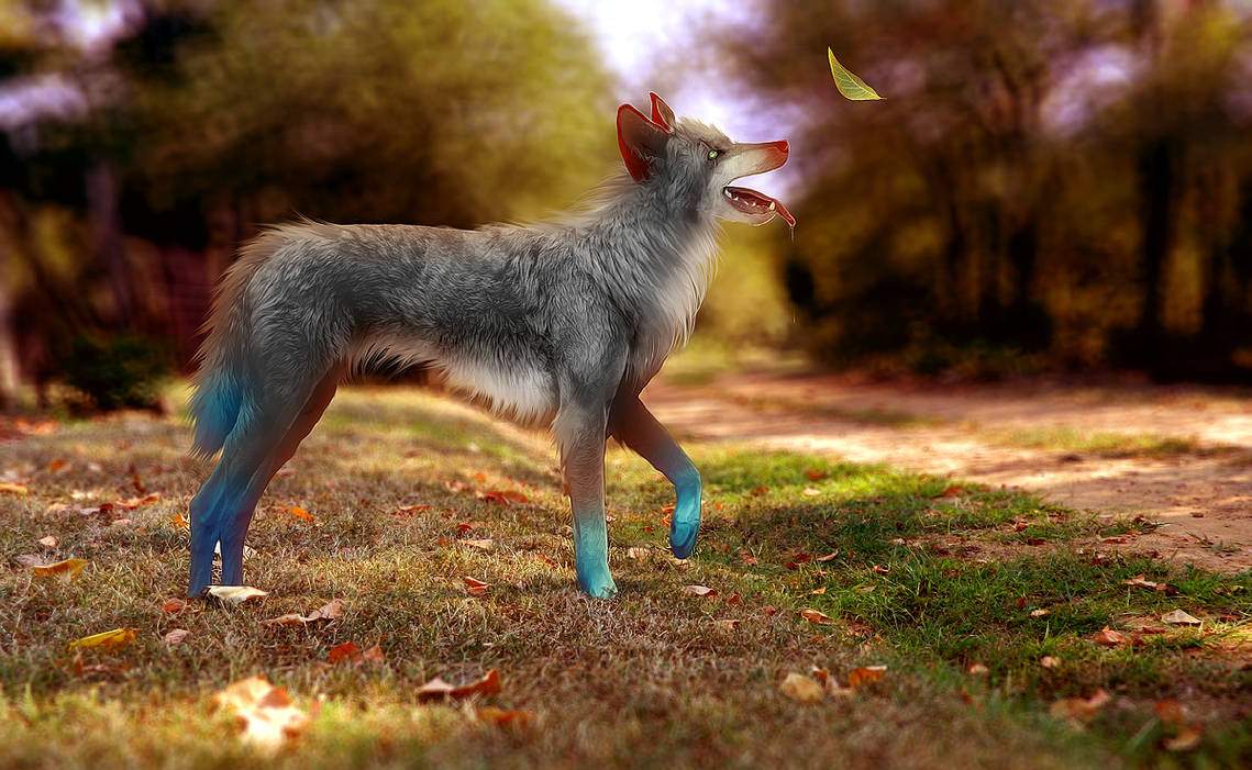 Nature sure is a present by chertan-koraki