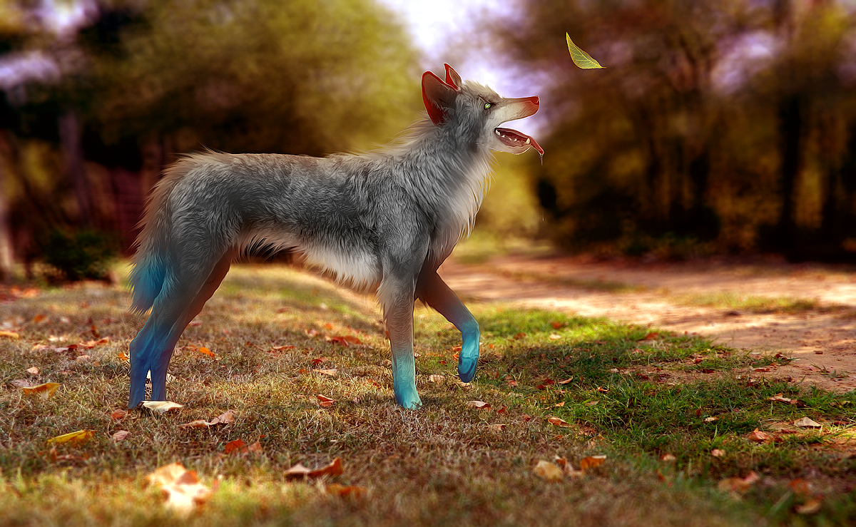 Nature sure is a present by chertan-koraki
