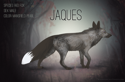 [Fox Village] Jaques