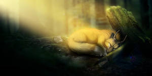 Faunbanner