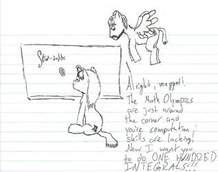 Ponies Training for the Math Olympics