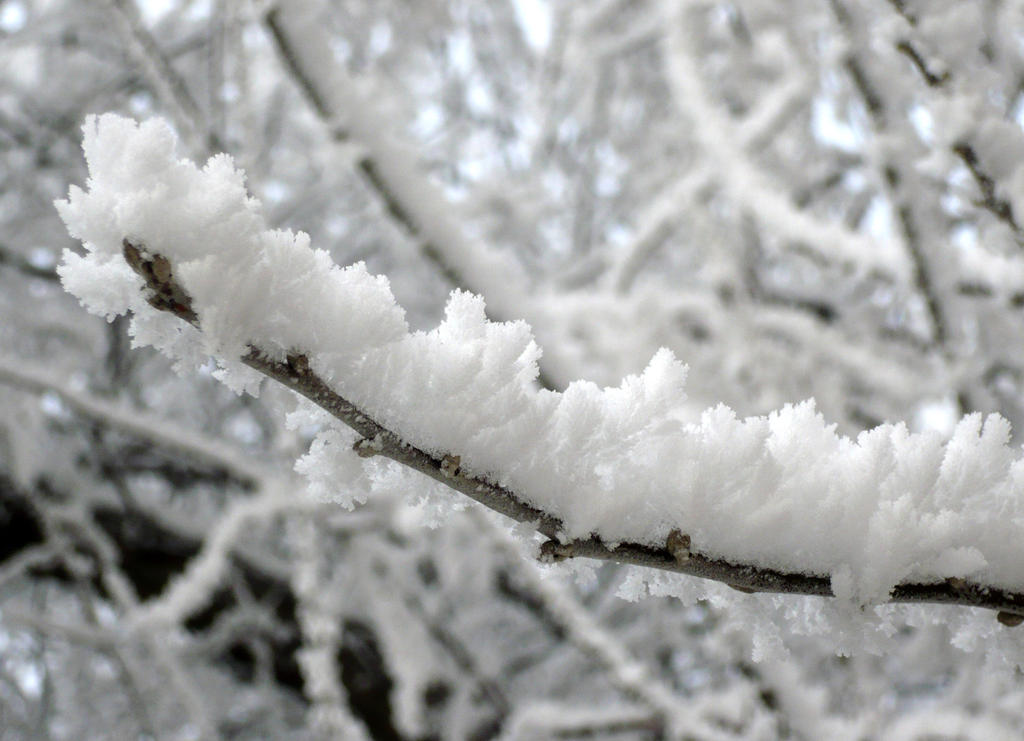 Fake Spring 2 by danmesser on DeviantArt