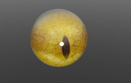 Eye