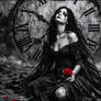 No Time to Cry