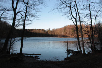 a lake in the forrest