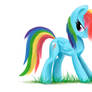 Rainbow Pony