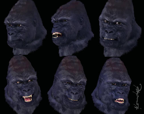 Gorilla Head