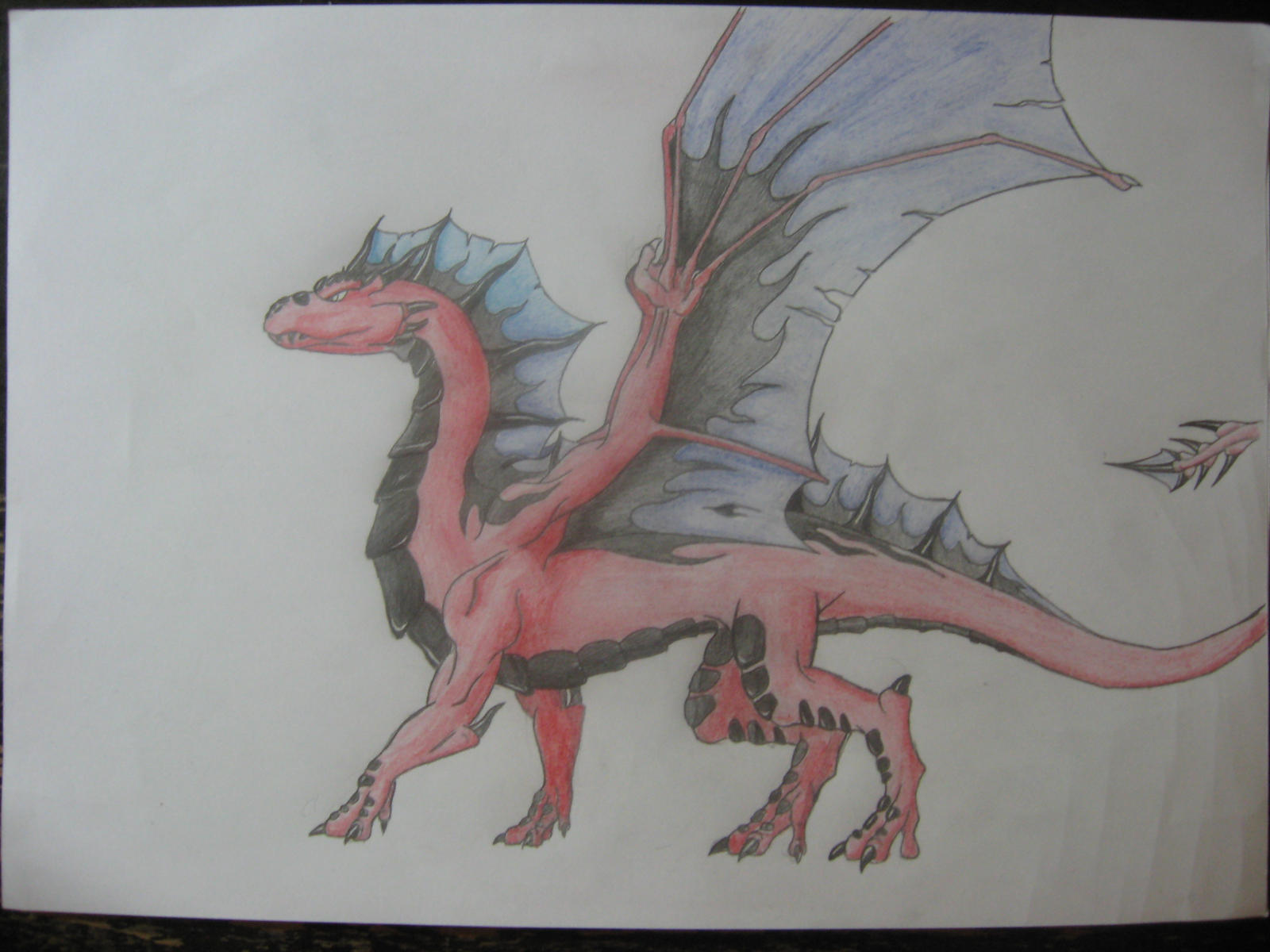 First REAL drawing of a dragon