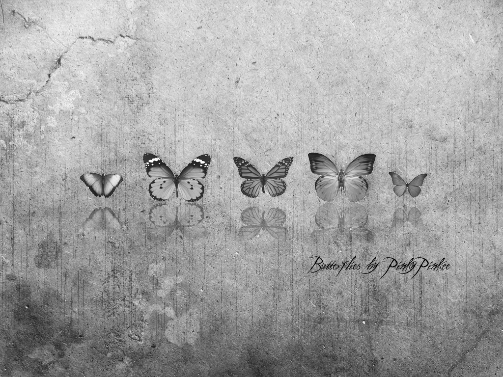 Butterflies black n' white