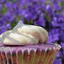 Blueberry Meringue Cupcakes